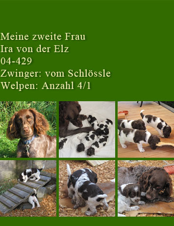zweite Familie